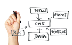 Content Management System Service (CMS) Developers work